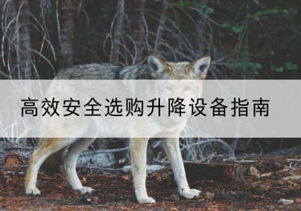 岷县升降货梯厂家推荐-*安全选购升降设备指南