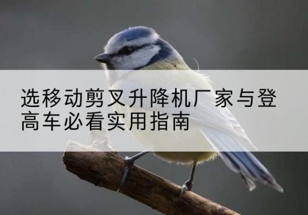 岷县电动升降机厂家-选移动剪叉升降机厂家与登高车必看实用指南