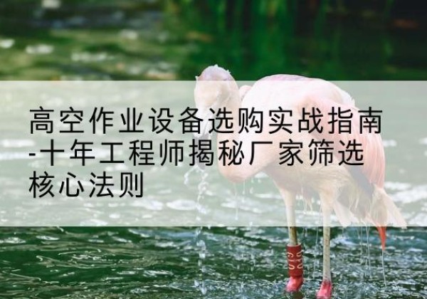 岷县剪叉式升降机厂家-高空作业设备选购实战指南-十年工程师揭秘厂家筛选核心法则